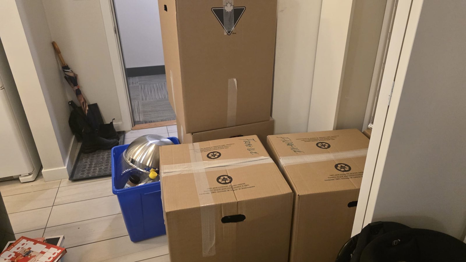 Kitchen packed in proper moving boxes with labels