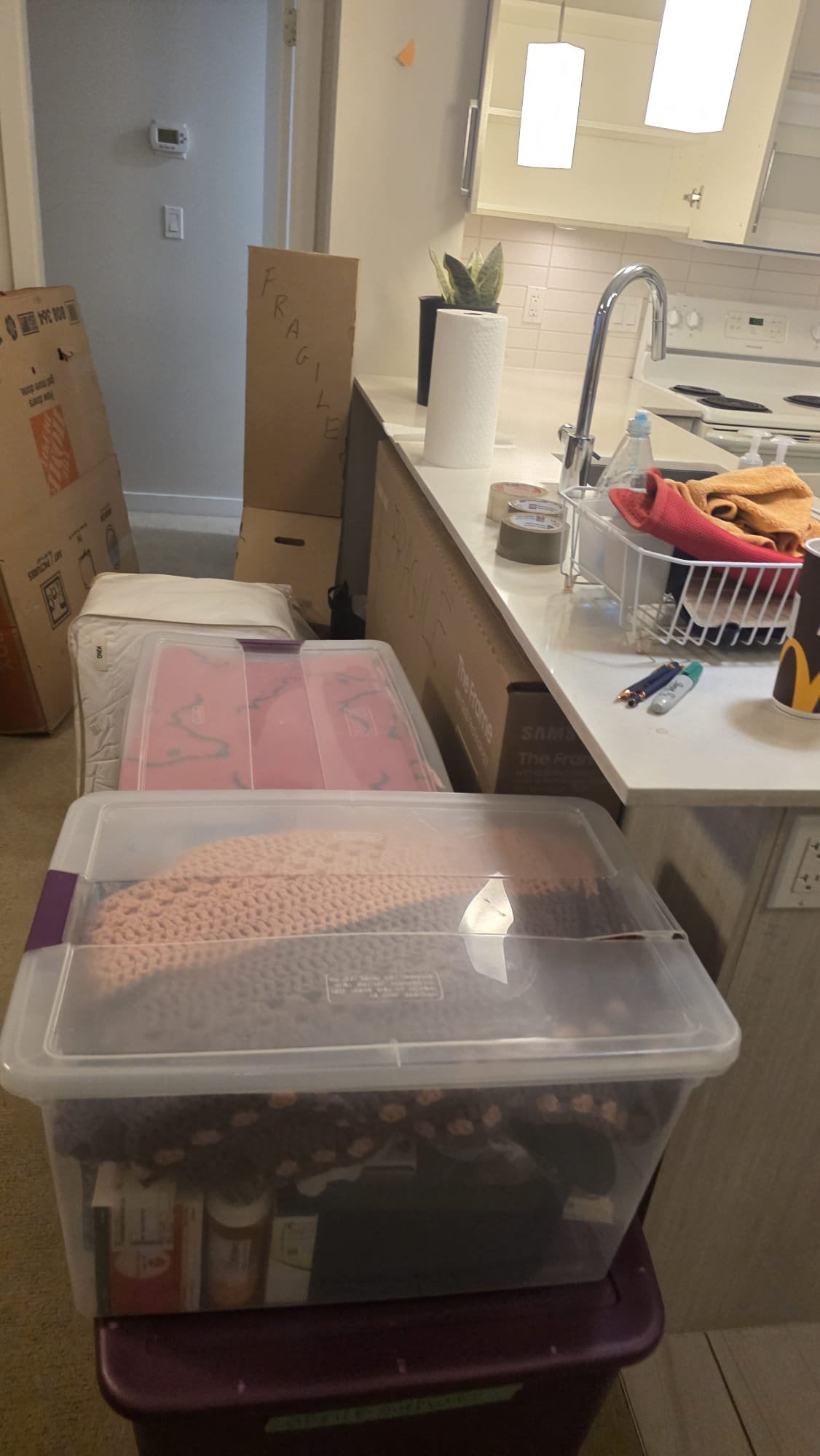 Reusable plastic moving bins packed for a Vancouver move by Always Best Moving Vancouver